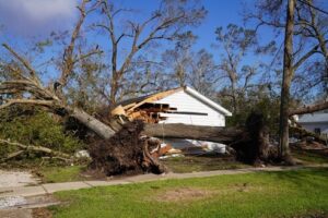 House destroyed by two large uprooted trees after F1 Hurricane Laura